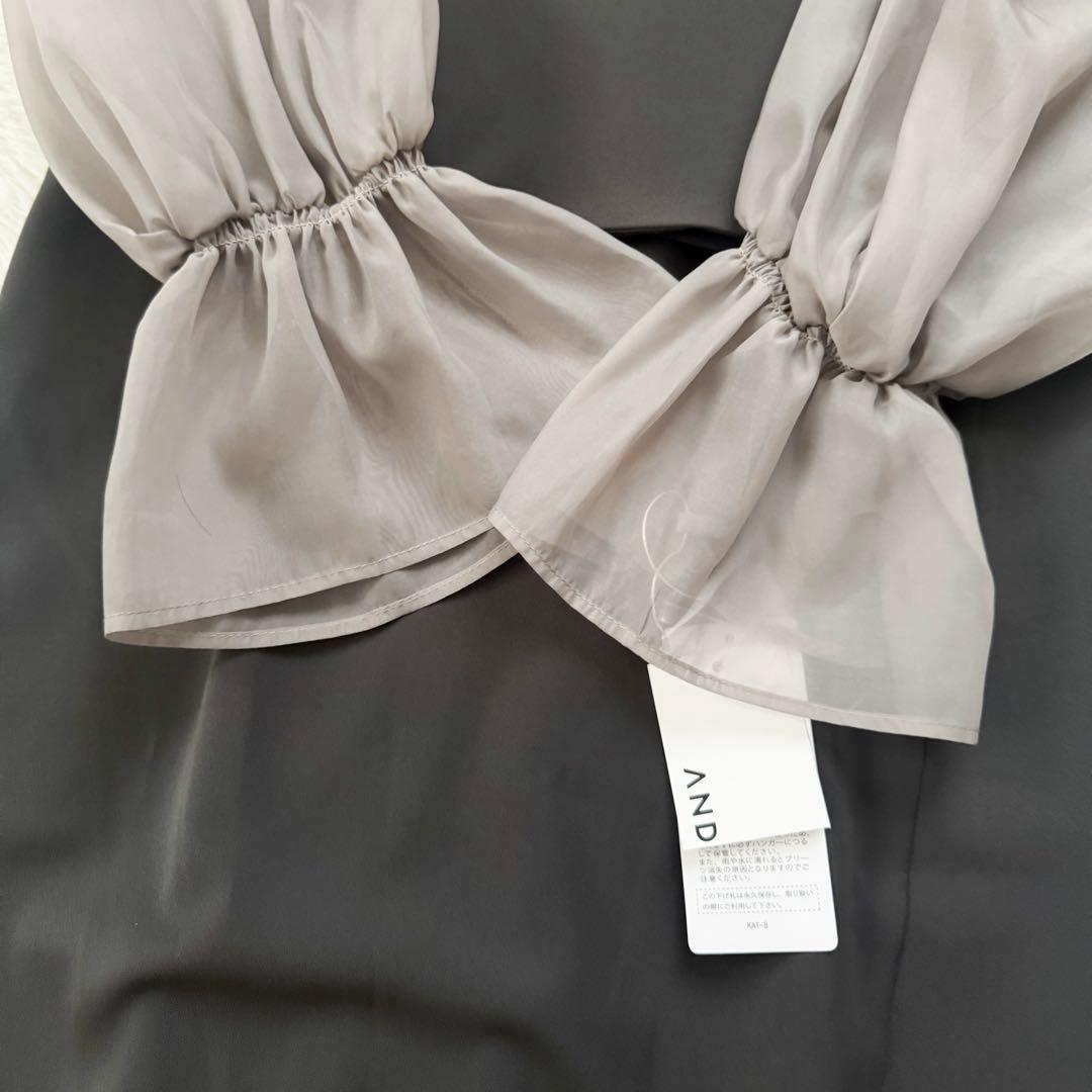タグ付✨ ANDRESD キャンディスリーブ ビスチェ ワンピース オーガンジー