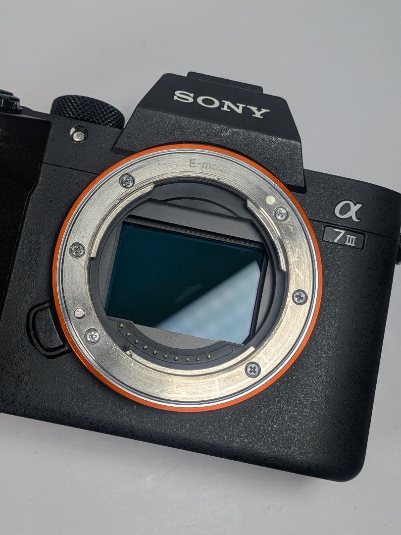 Sony α7 III ILCE-7M3 本体 10704枚