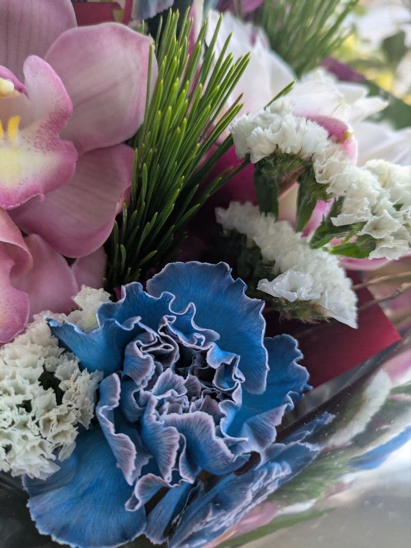 ❀さくらもち様❀