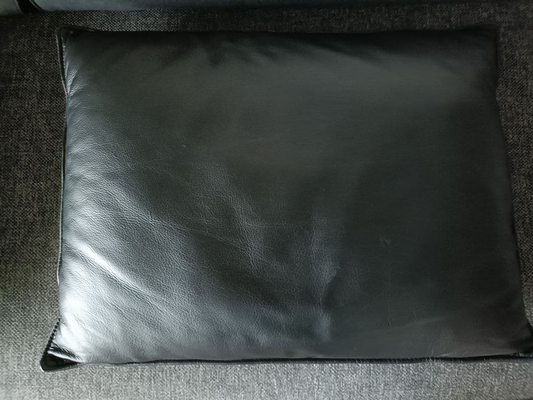 本革クッション付　フランスベッド　FREEing　ソファベッド