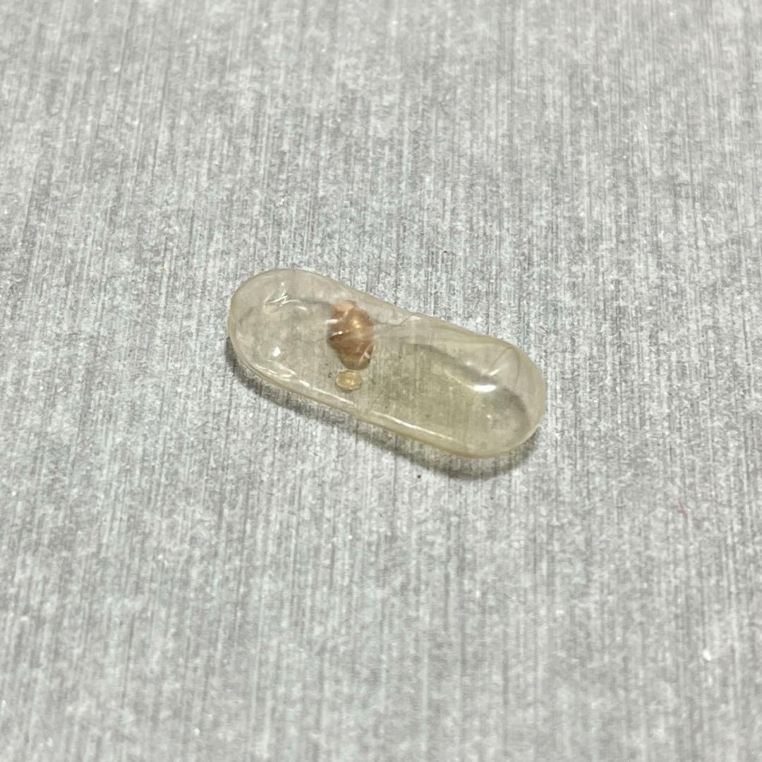 m*g様 激レア　美品　大分県産　蓋付き　オンセンゴマツボ