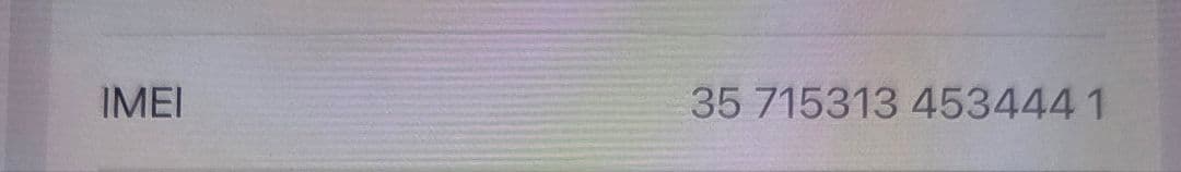 iPad mini (A17 Pro) Cellular　箱無し本体のみ