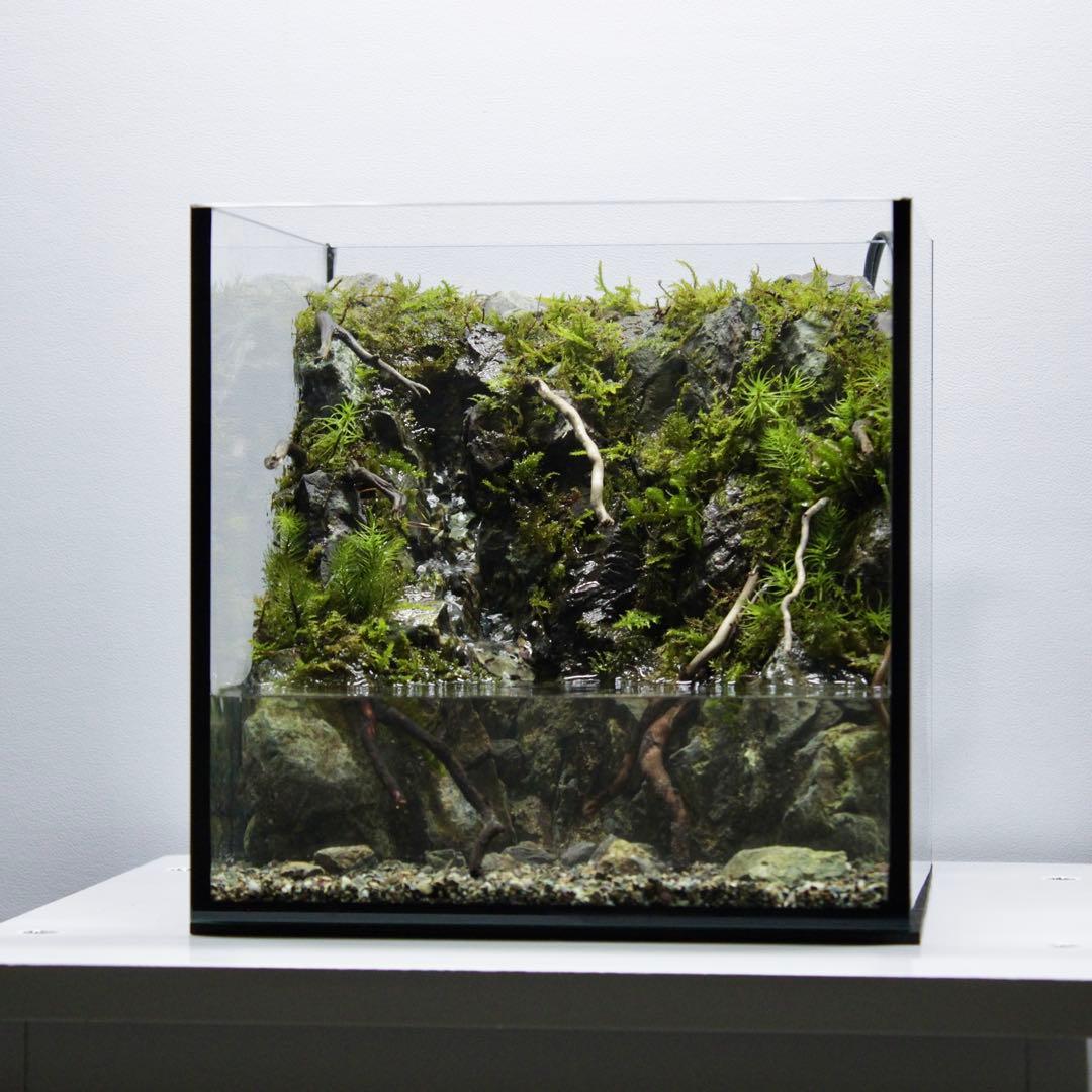 ざん　アクアテラリウム　レイアウト作品　195