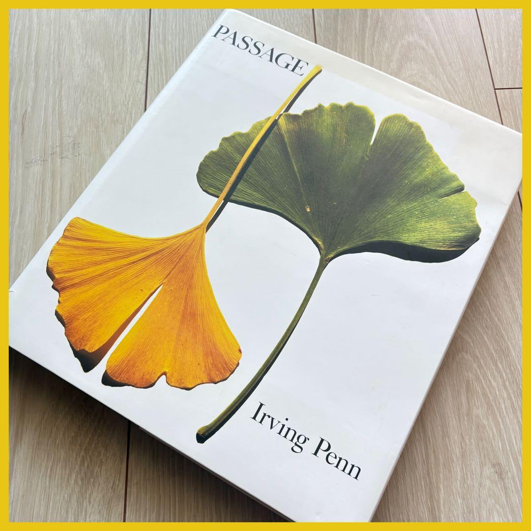 希少❗️【Passage】Irving Penn/アーヴィング・ペン/アート写真集
