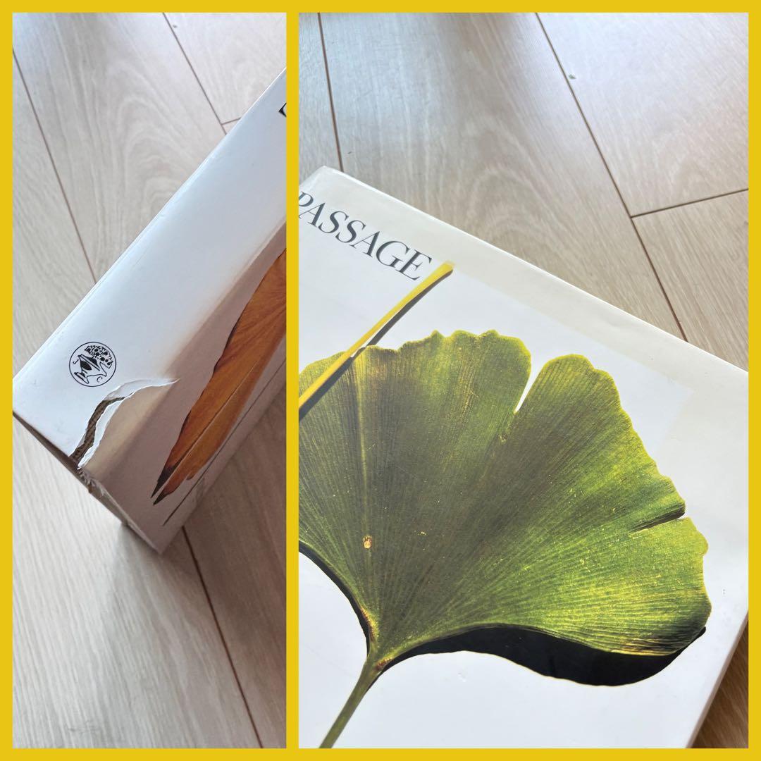 希少❗️【Passage】Irving Penn/アーヴィング・ペン/アート写真集