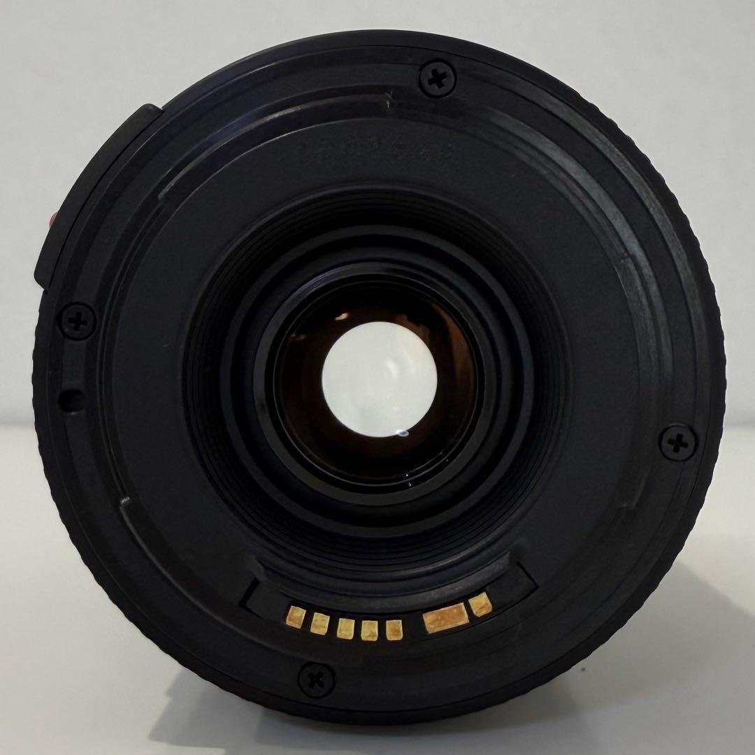 レンズ(ズーム) Canon ZOOM LENS EF 90-300mm USM