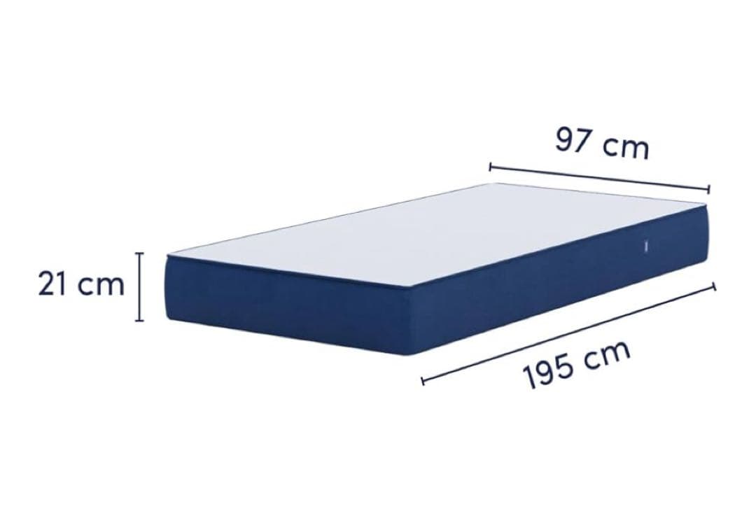 サーロイン様　koala