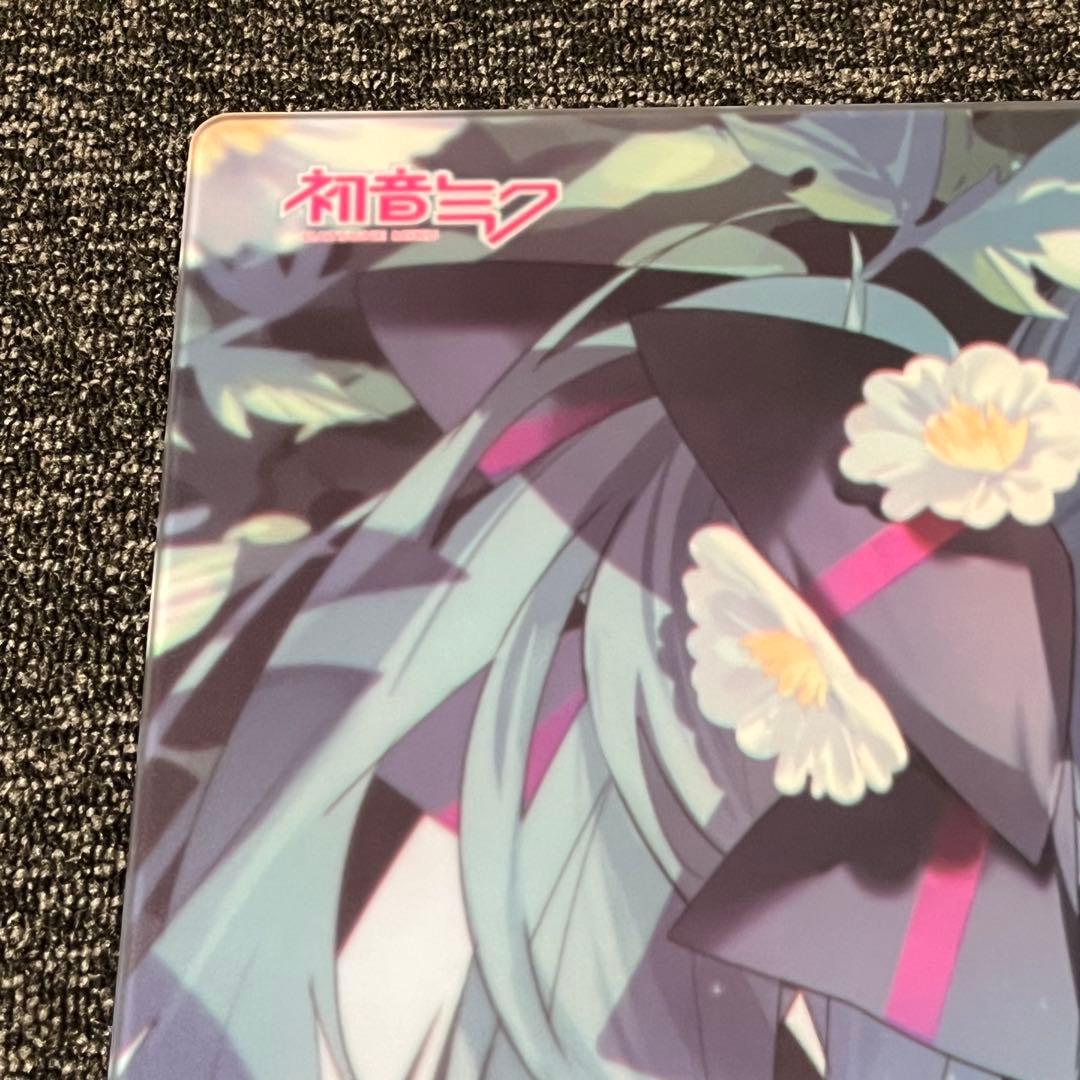 【きんぐひろ】Wallhackガラスパッド SP-004