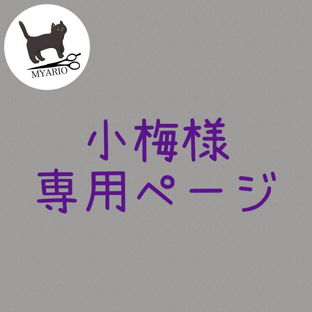 お見積もり専用ページ(#505)