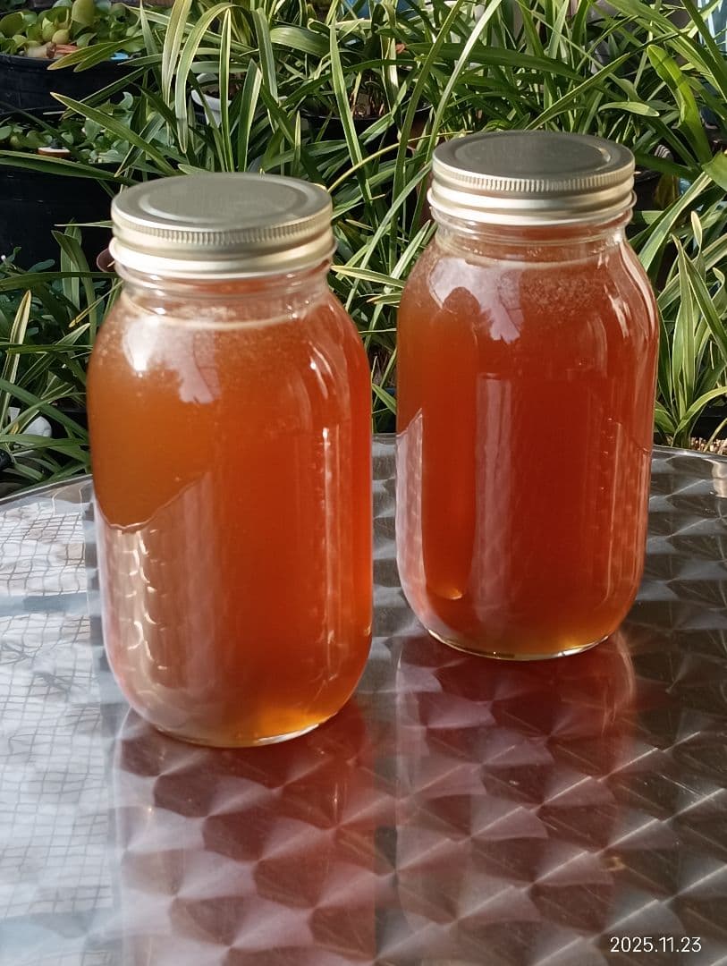 ニホンミツバチの百花蜜　国産天然ハチミツ　1180グラム　2本