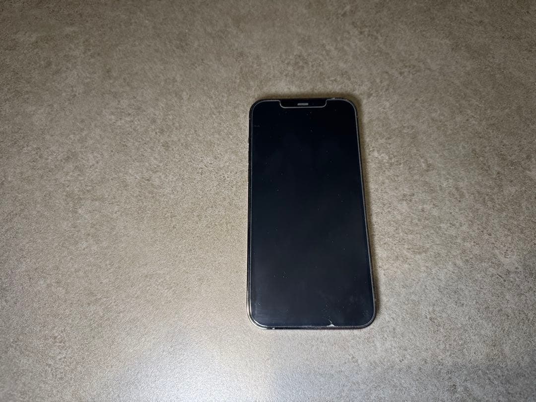 ジャンク iPhone 12 Pro max