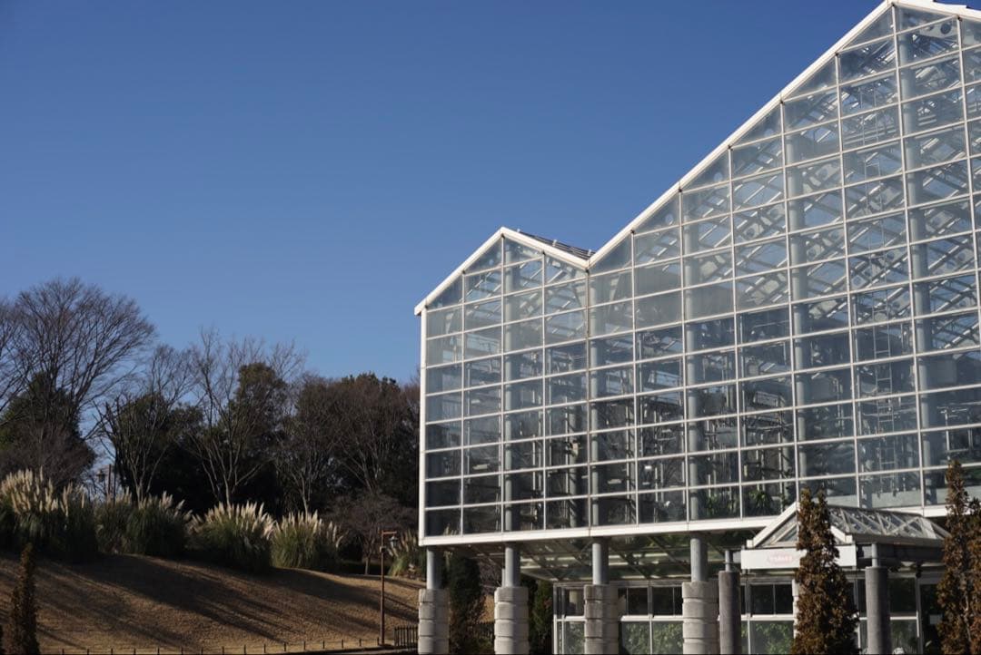 SONY α7 II ミラーレス一眼 本体 シャッター数22,391回 並品