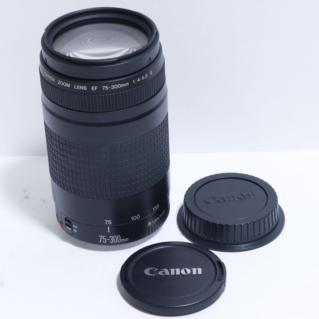 ◇大迫力超望遠◇ Canon純正 75-300mm II型 超望遠レンズ!!◇