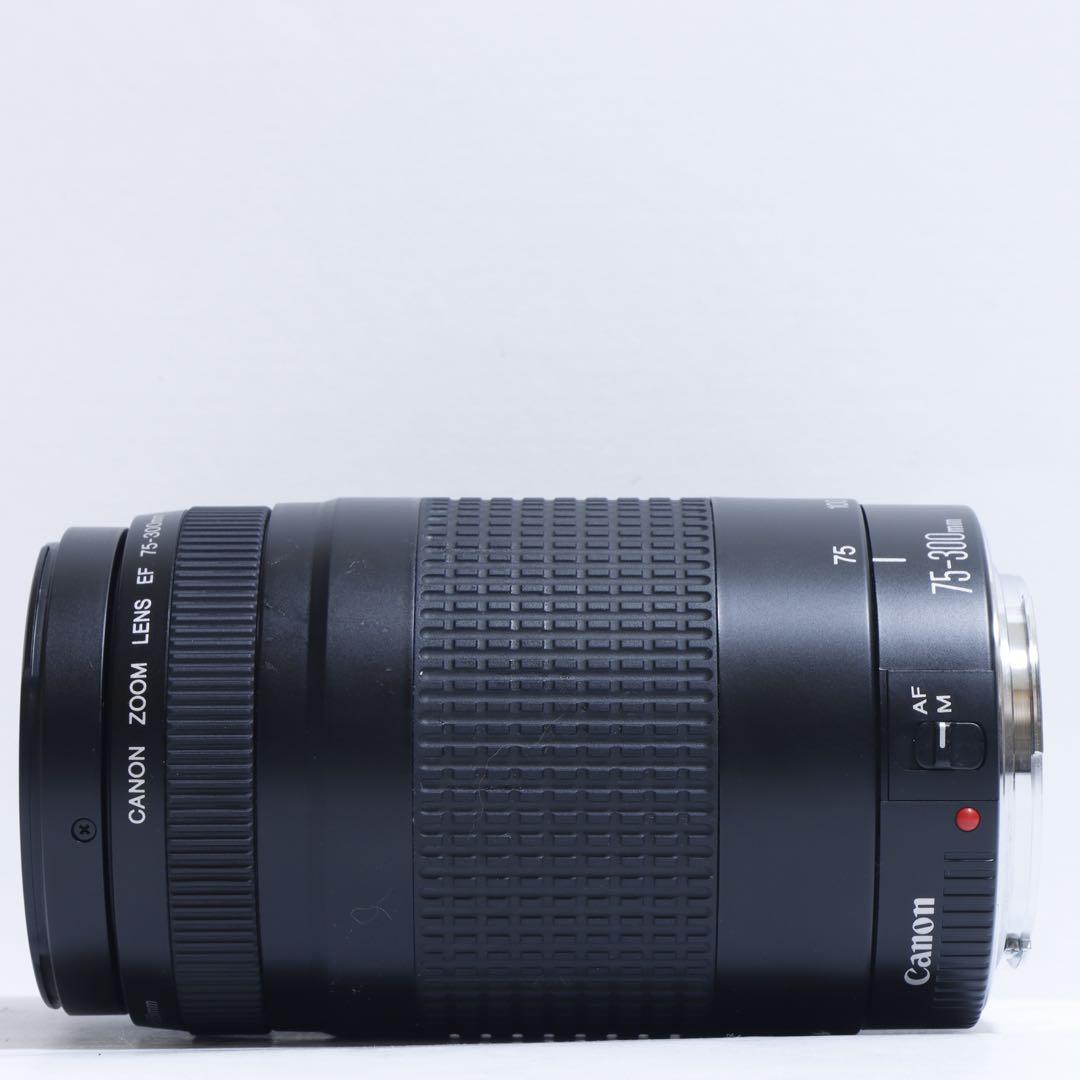 ◇大迫力超望遠◇ Canon純正 75-300mm II型 超望遠レンズ!!◇