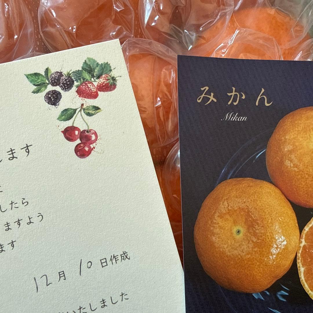 rippy即日発送銀座千疋屋ミカン30個 15✖️2箱入12月10日作成定価