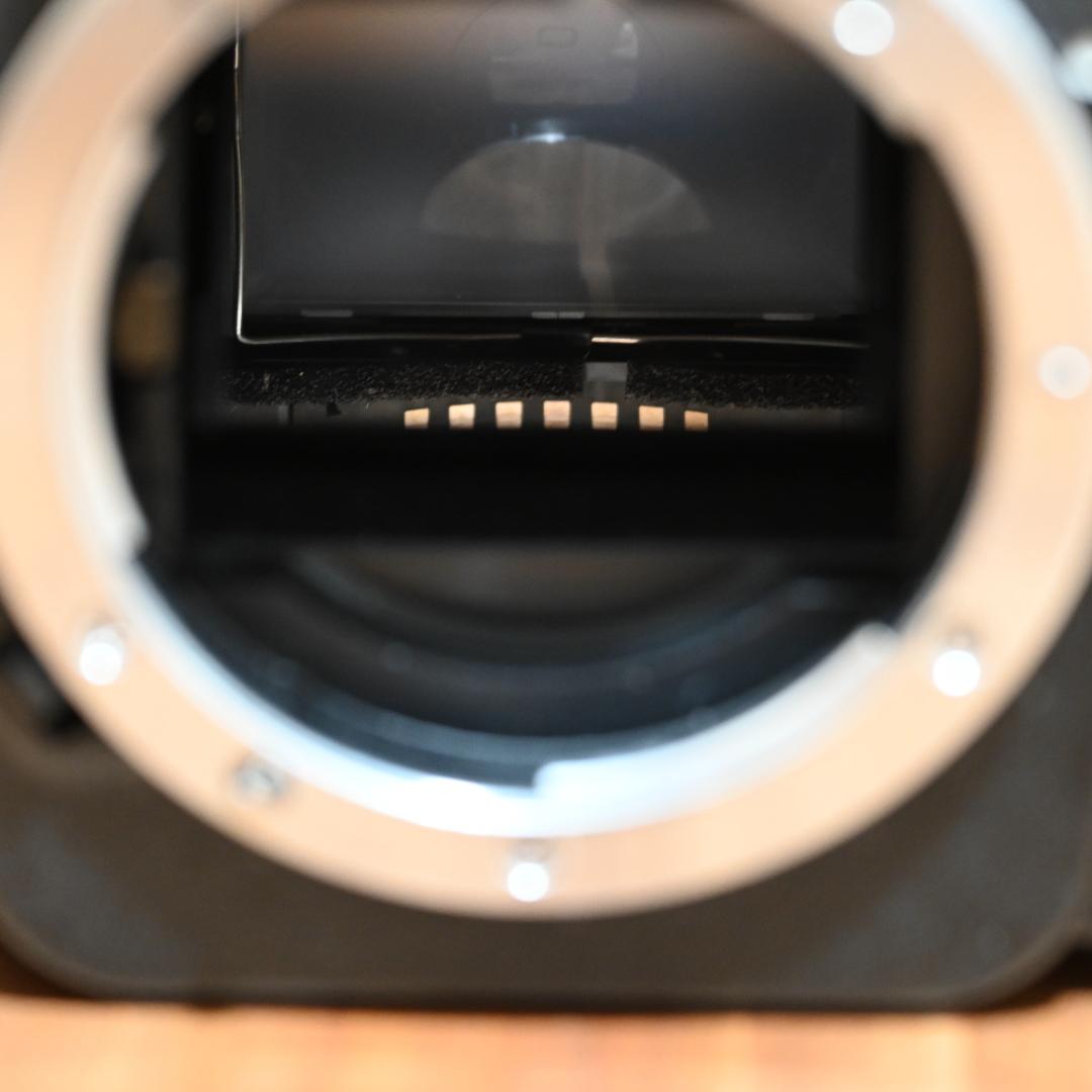 【週末限定大幅値下げ！】Nikon F80D＋標準レンズ+ストラップ新品