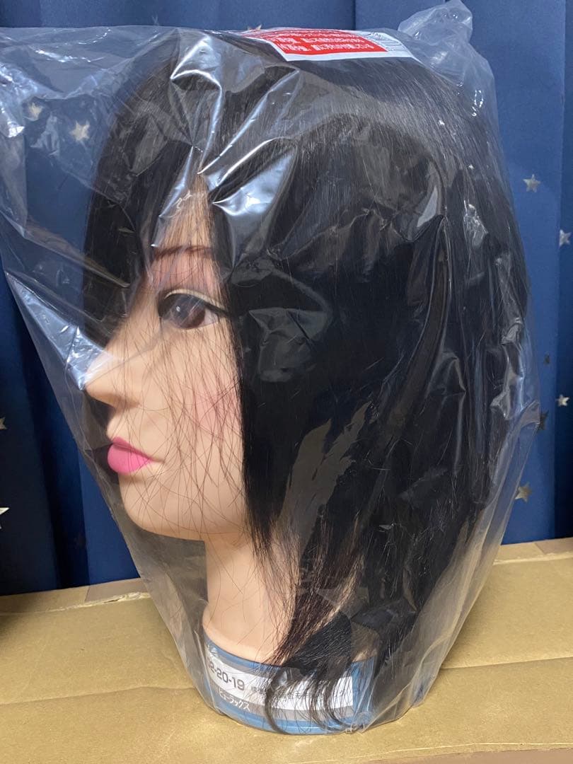 美容学校用 ウィッグ ビューラックス 02-20-19 6個