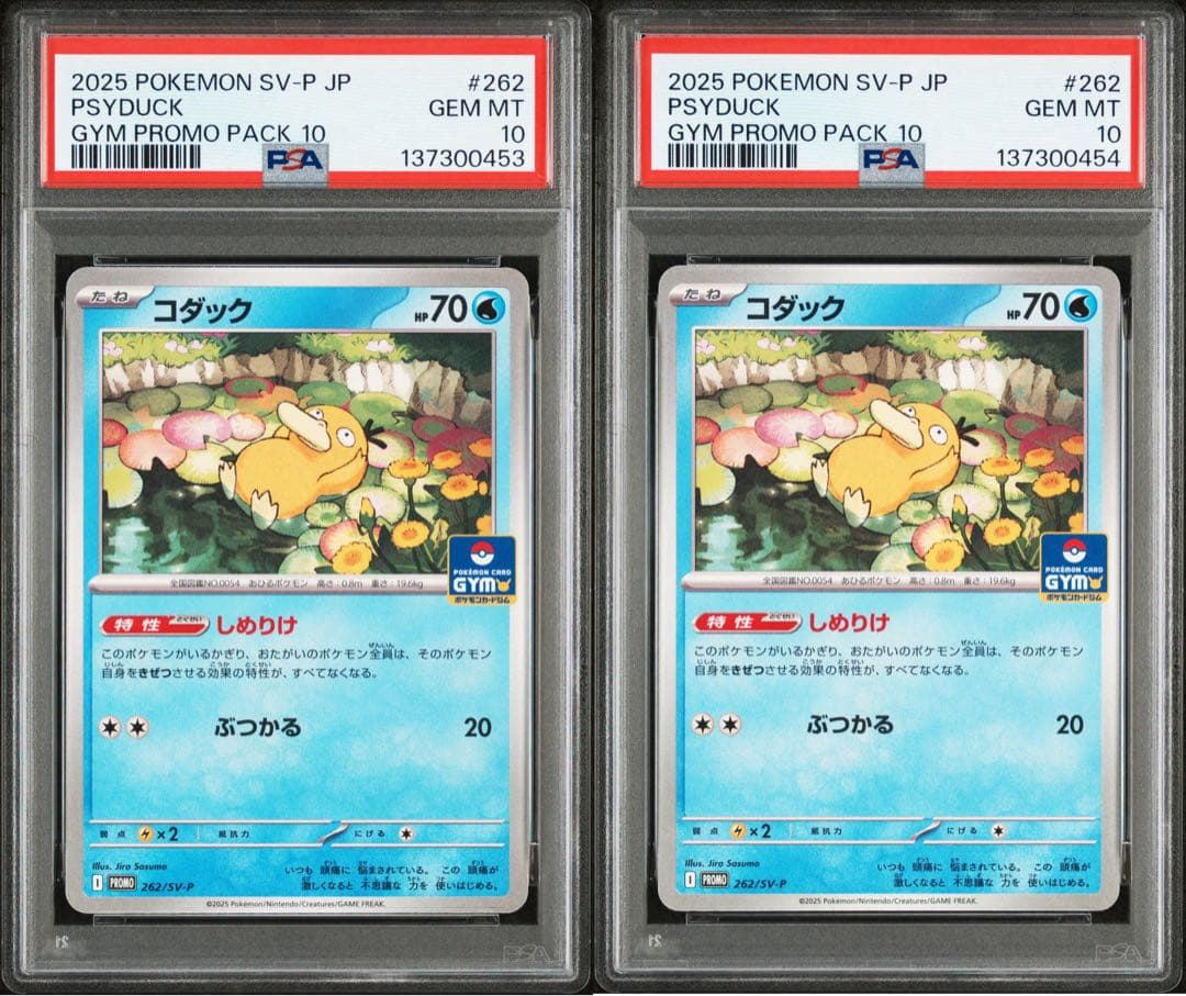 PSA10 コダック ジムプロモ 連番