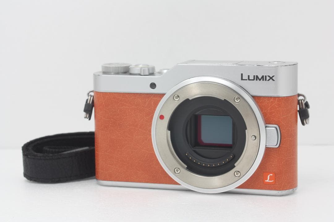 Panasonic LUMIX DC-GF9 ボディ 完動品 #332a