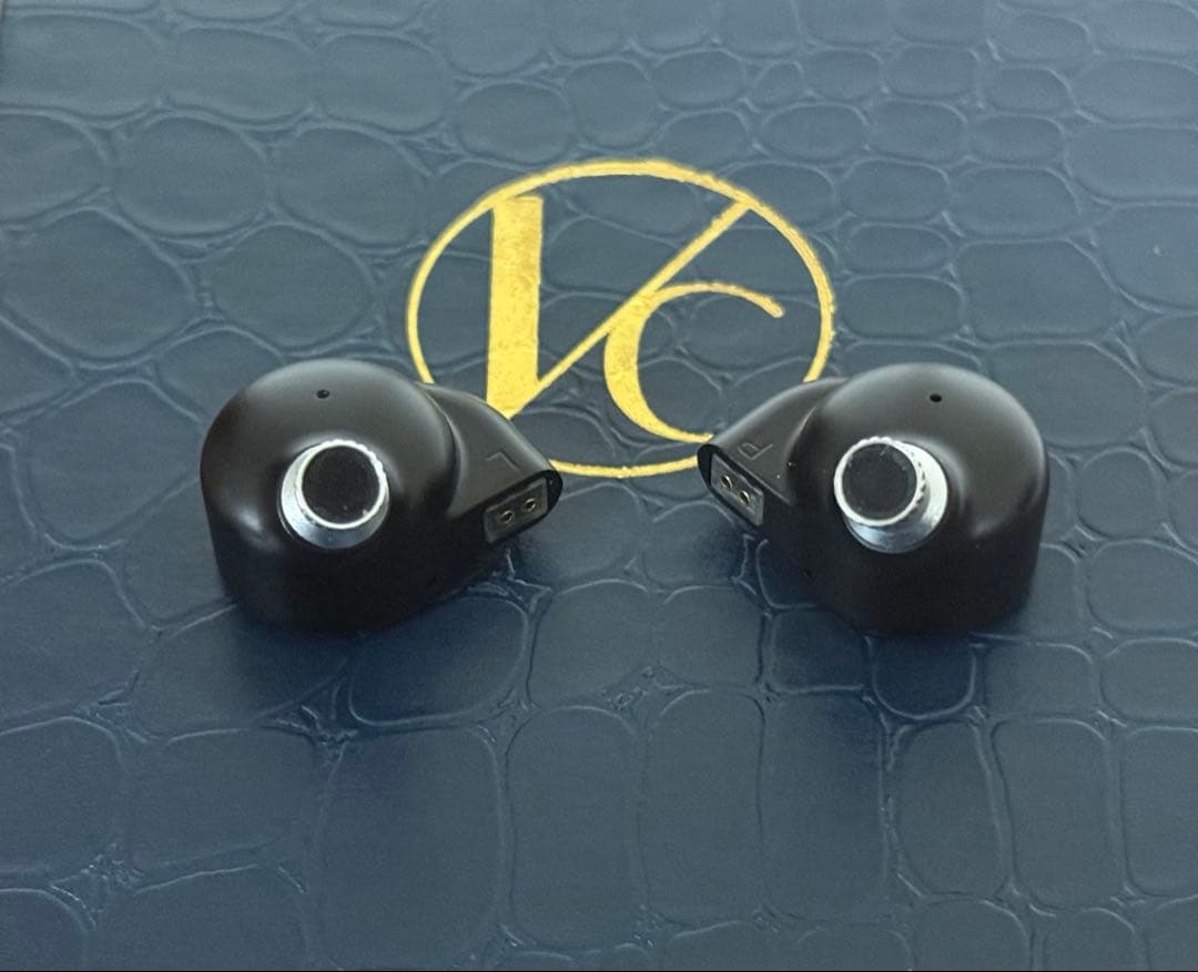 最終価格 DARUMA AUDIO X-Star 平面駆動 ケーブル未付属