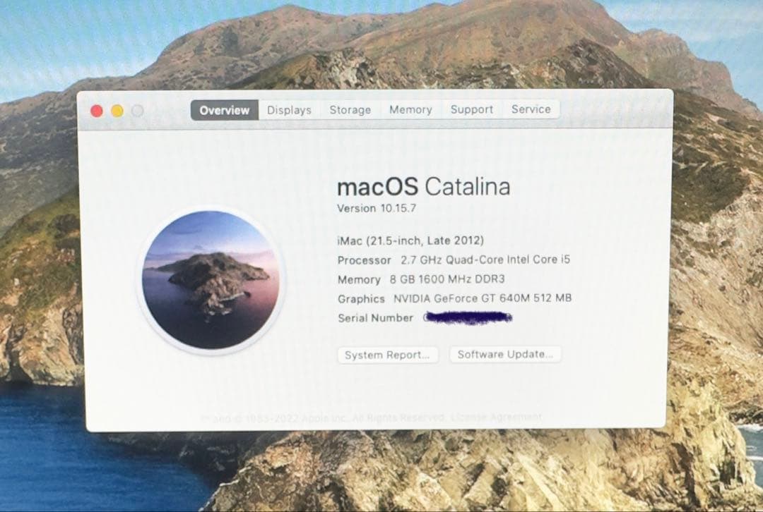 Macデスクトップ iMac 21.5-inch 1TB SATA