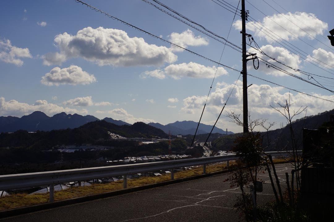 Leica SUMMICRON-R 50mm F2 １カム 純正フード付