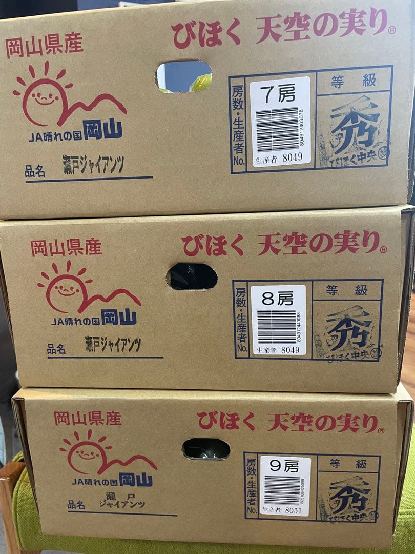 ③【岡山県産】瀬戸ジャイアンツ　7〜12房　約5キロ