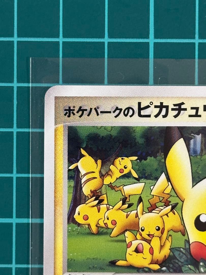 ポケパークのピカチュウ P PCG-P 043 プロモーションカード