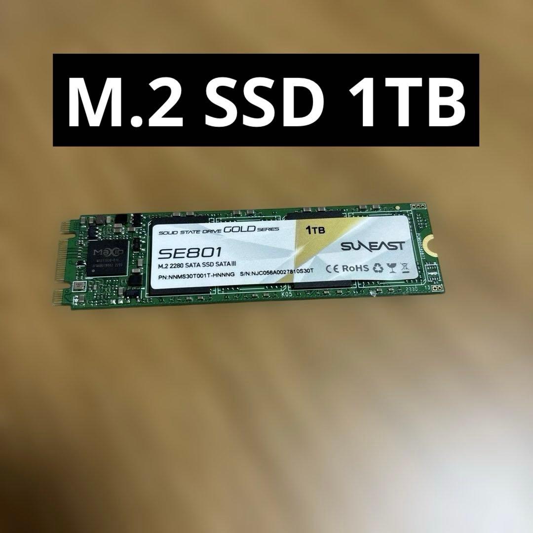 内蔵型SSD M.2 SSD 1TB SUNEAST
