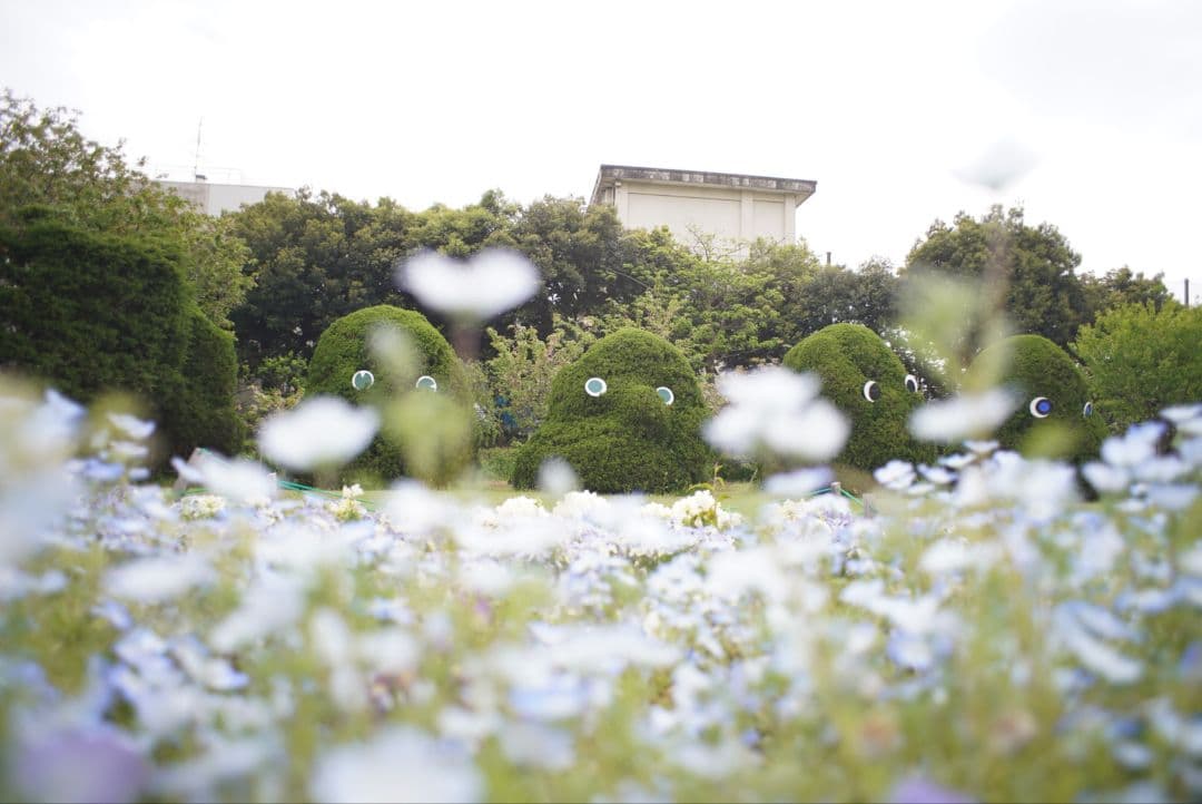 【良品】PENTAX S-M-C タクマー 24mm f3.5 初期保証付