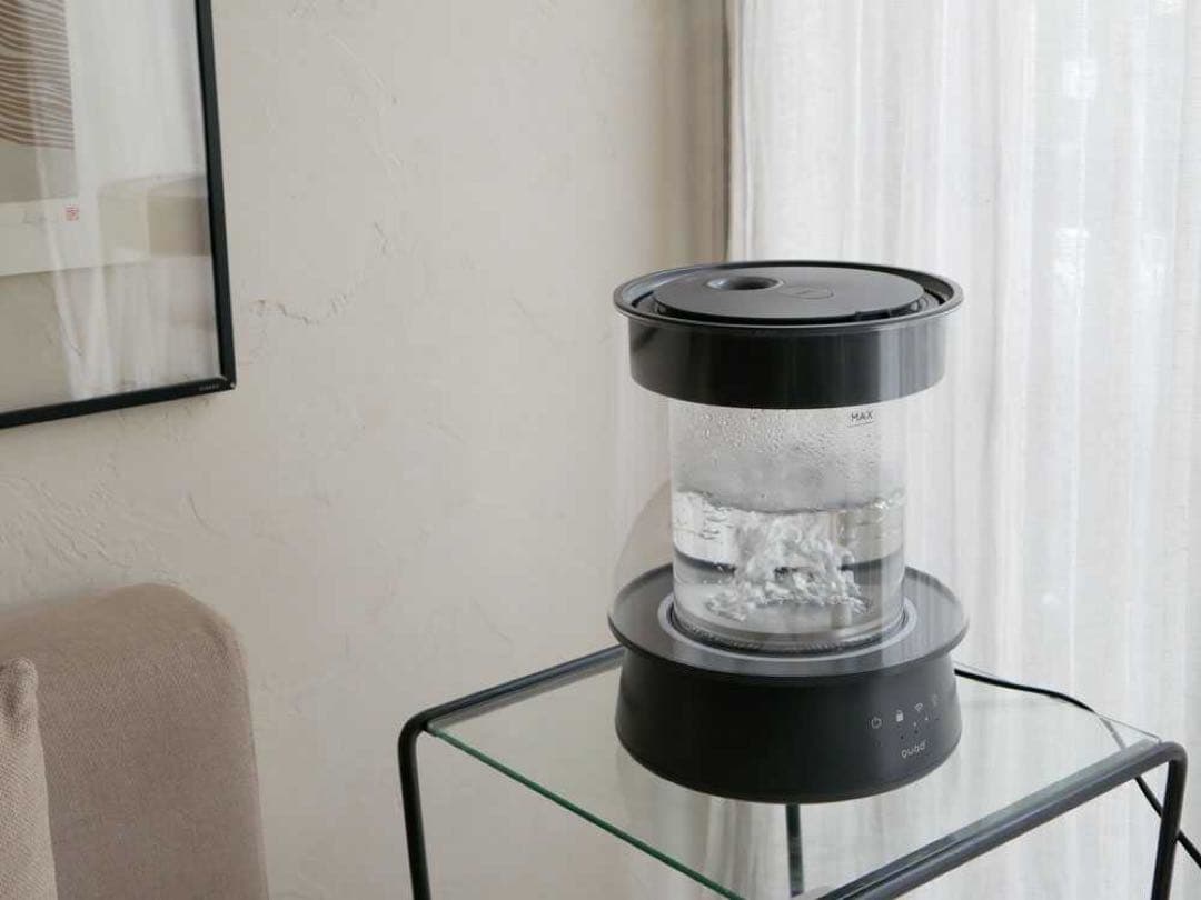 「新品未開封」QUADS GLASS クワッズ ガラス 加湿器 本田翼