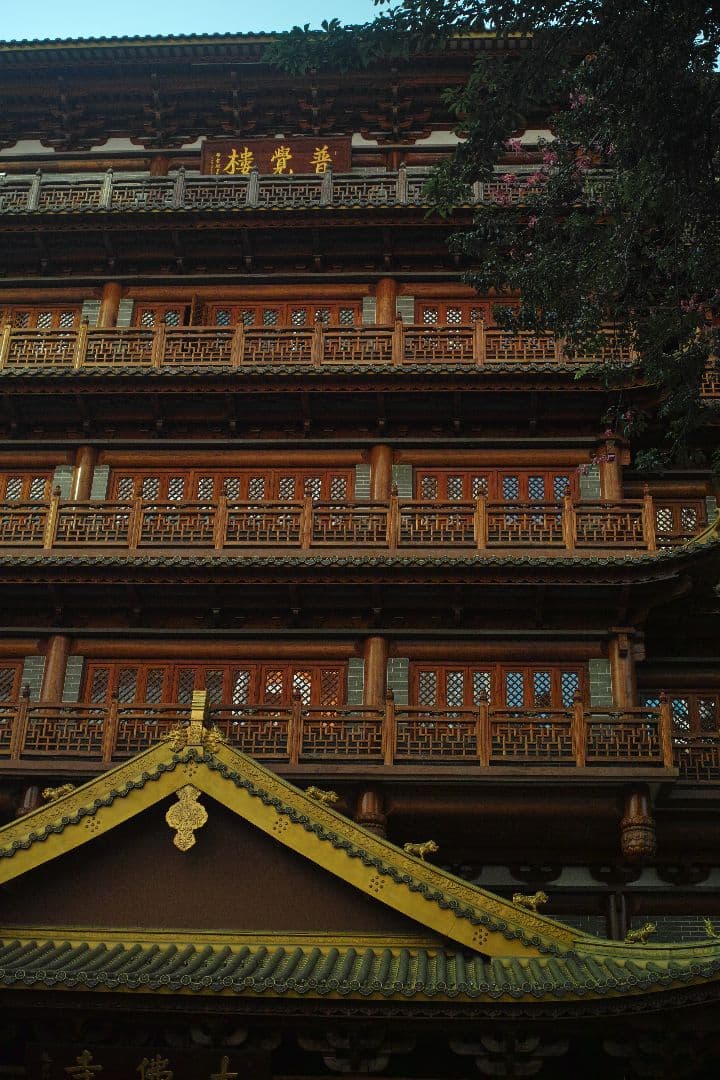 (作例あり)SIGMA DP2 Merrill ややセンサー汚れあり