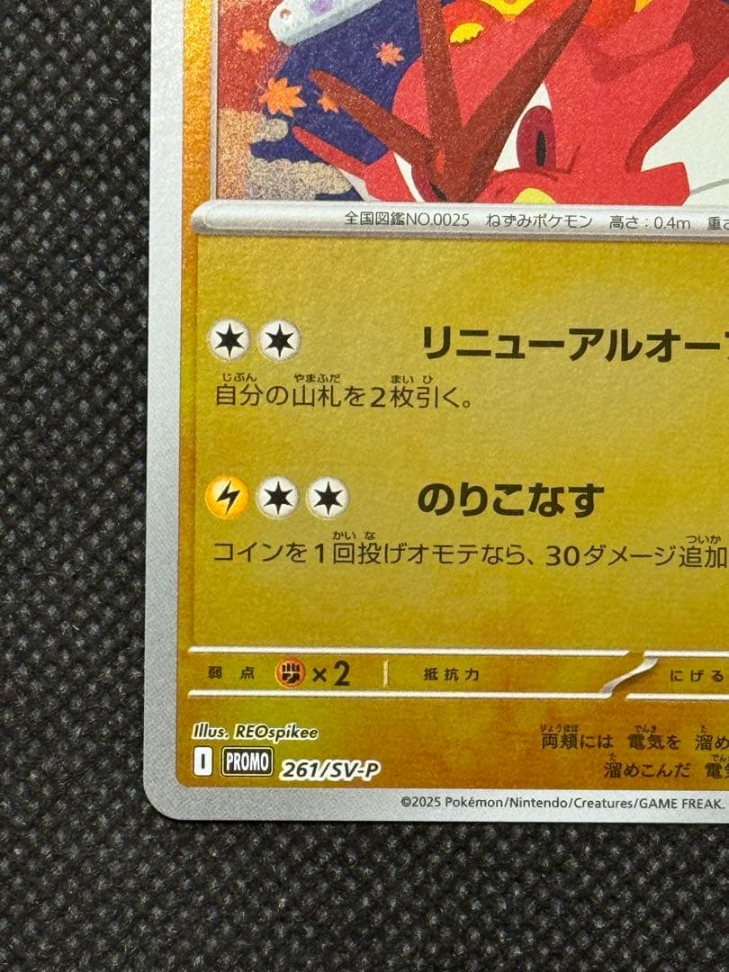 ヒロシマのピカチュウ