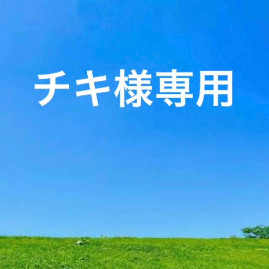 未使用SalvatoreFerragamoレザーラウンドジップ長財布　ガンチーニ