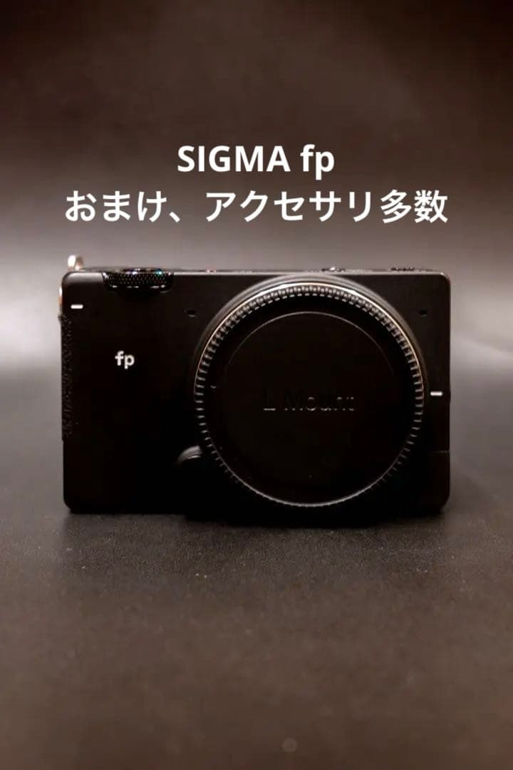 SIGMA fp おまけ、アクセサリ多数付き　美品