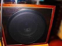 ミュージックボックス風　自作タンデムcubeスピーカー１２インチ