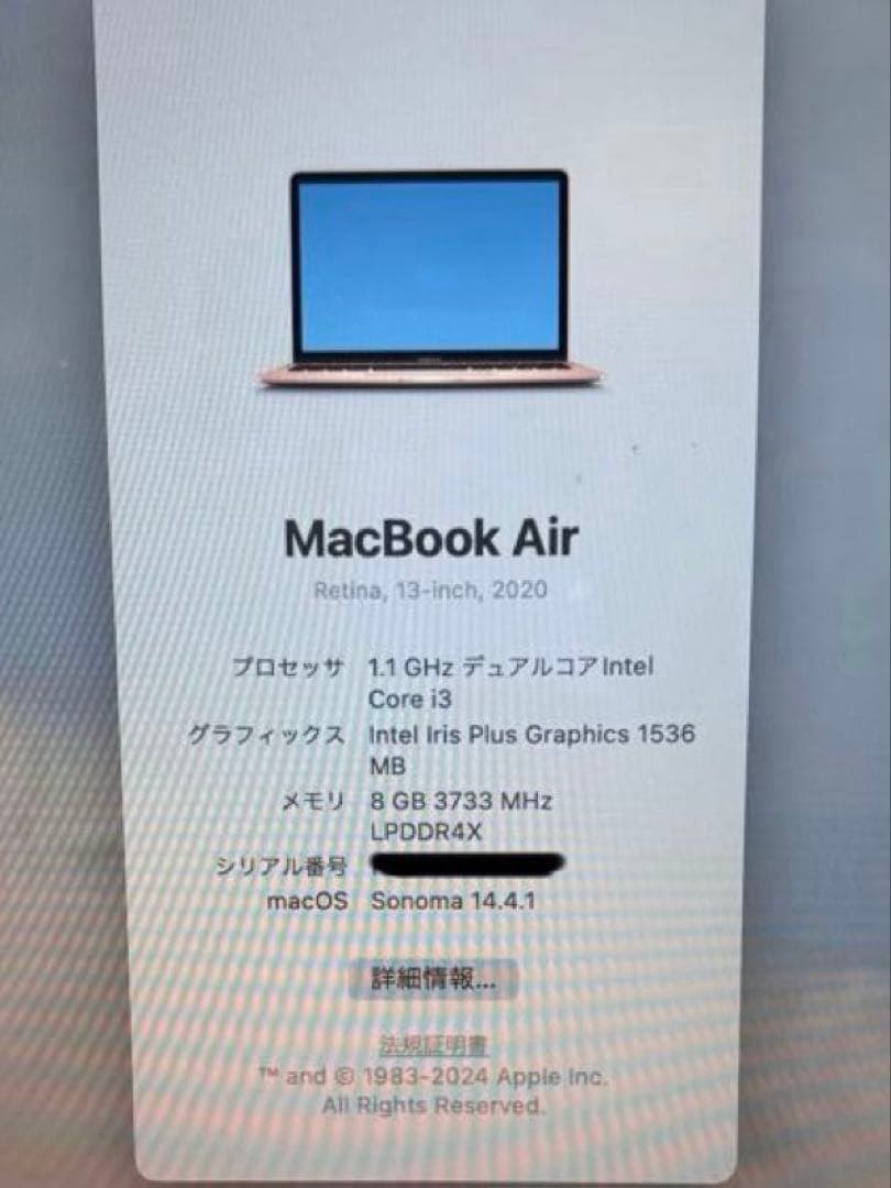 【翌日発送】MacBookAir2020SSD256GB ゴールド