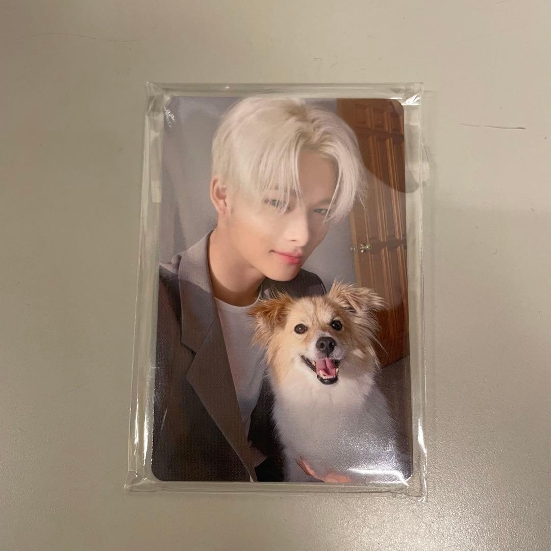 ENHYPEN ニキ アンケートトレカ 2025