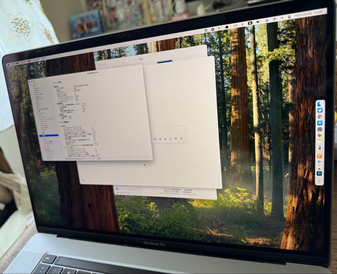 MacBook本体 MacBookPro 16 2019 i9/32GB/1TB/5500M/8GB