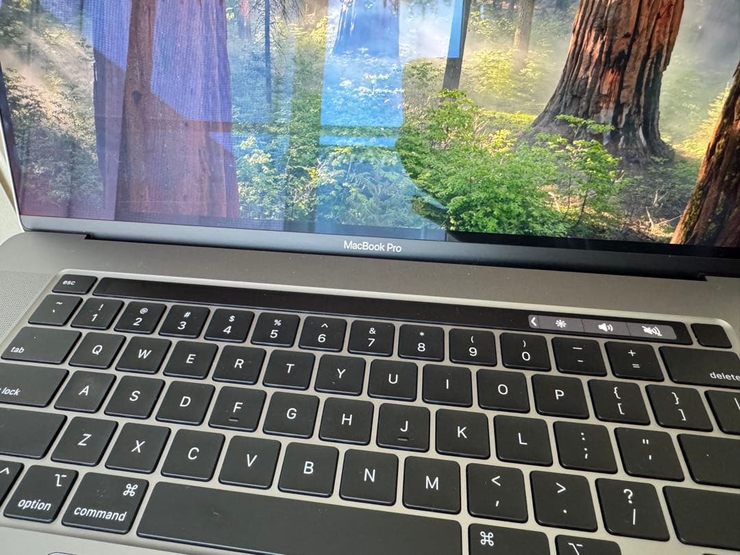 MacBook本体 MacBookPro 16 2019 i9/32GB/1TB/5500M/8GB