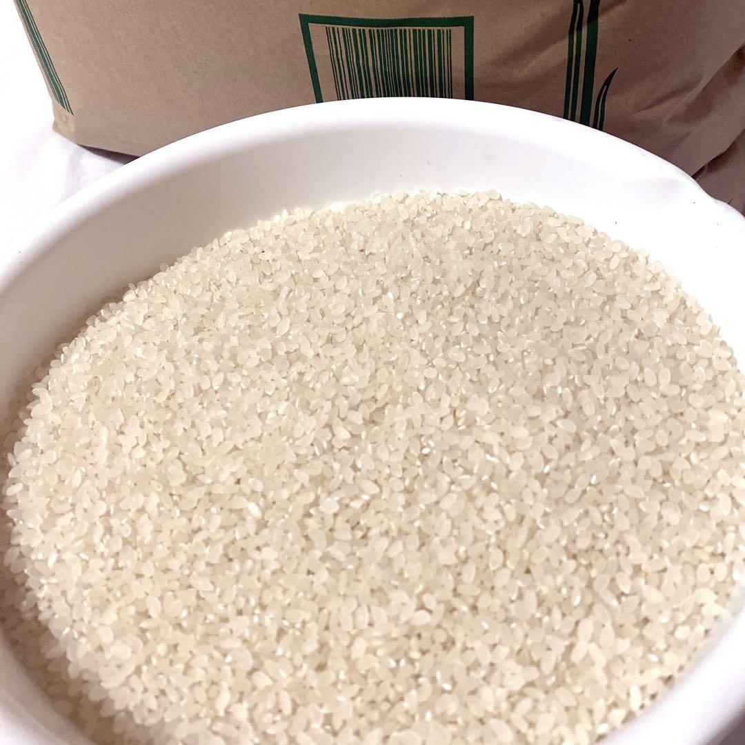 熊本県産　くまさんの輝き　令和7年度産　30キロ　送料込　新米　農家直送　玄米