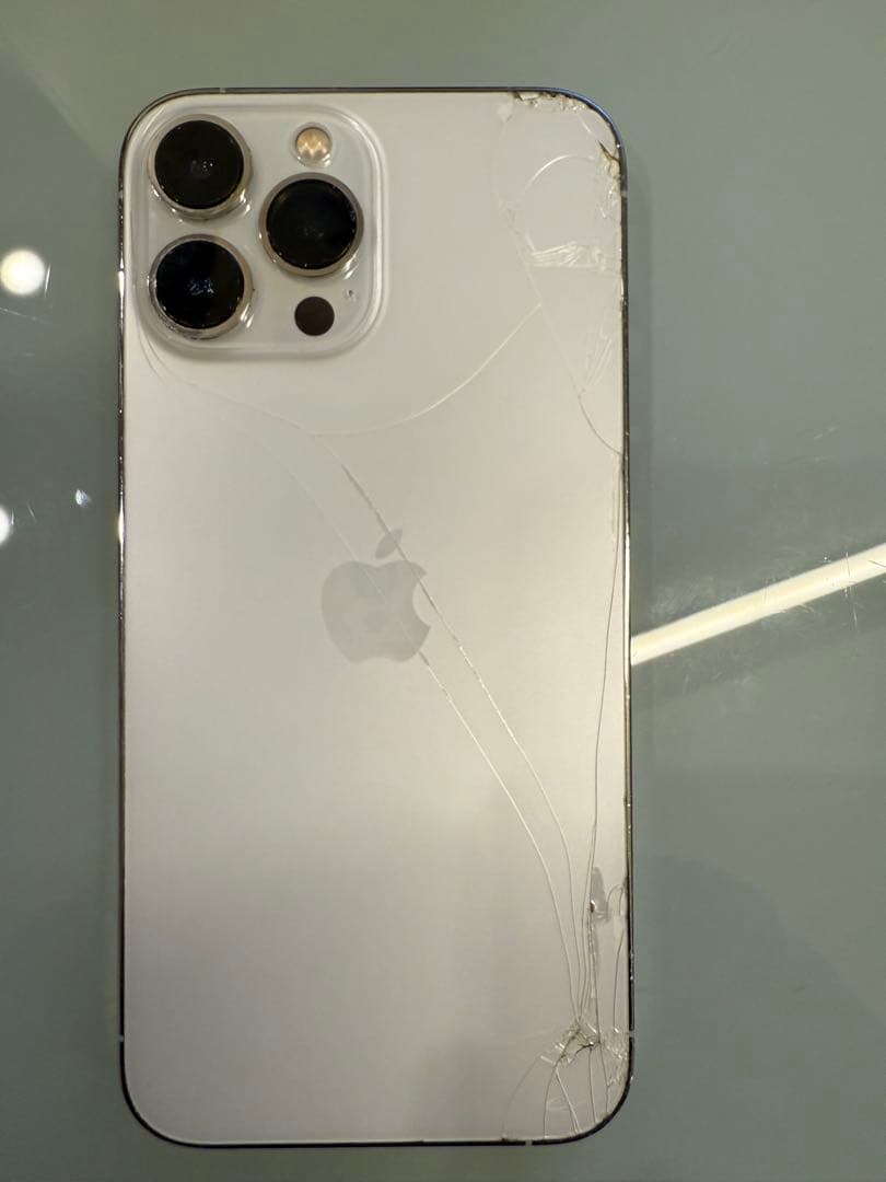 Apple iPhone 13 Pro Max本体