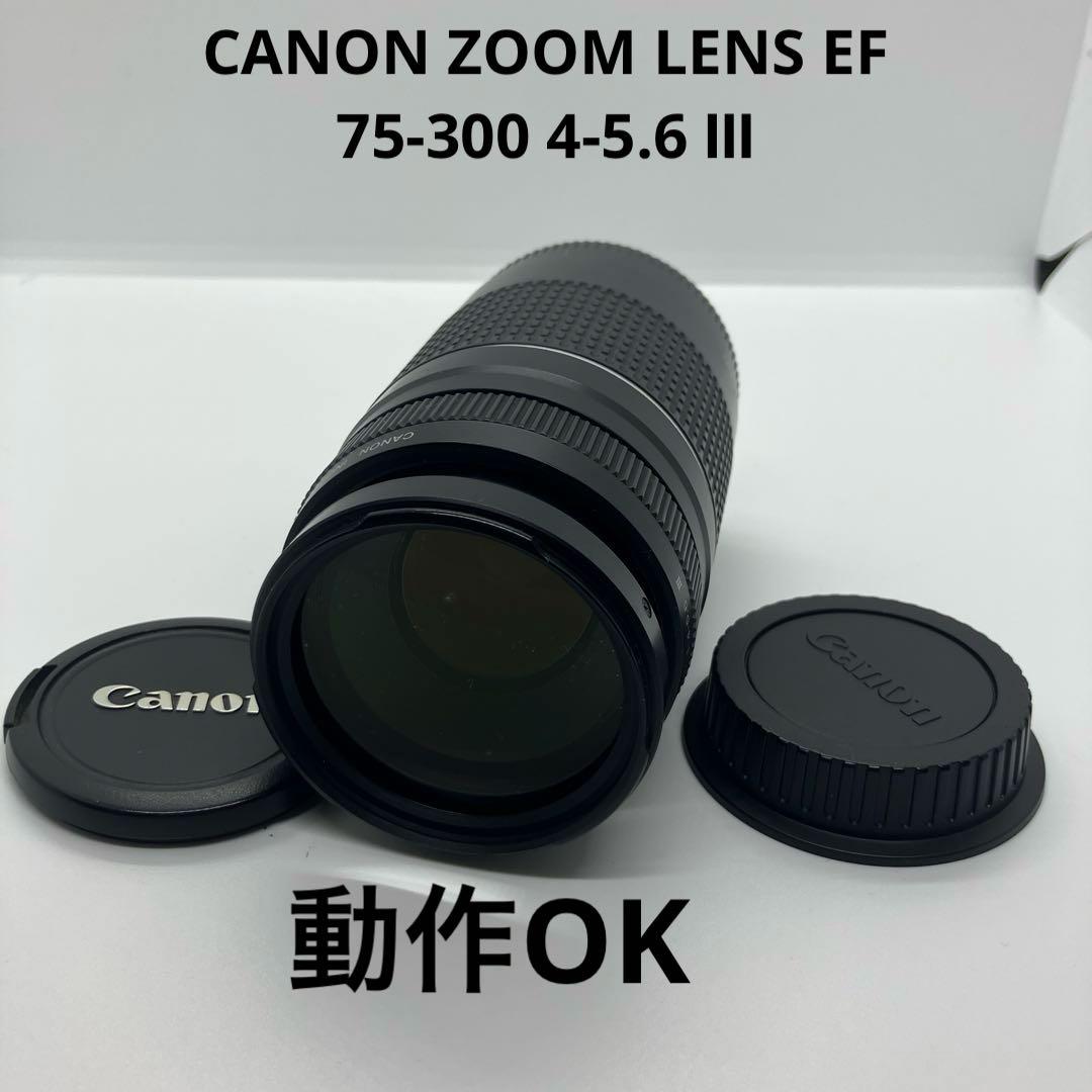 CANON ZOOM LENS EF 75-300 4-5.6 Ⅲ