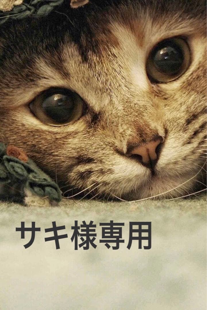 myse MS-80W-1 WHITE ミーゼ スカルプリフト 保証期間内