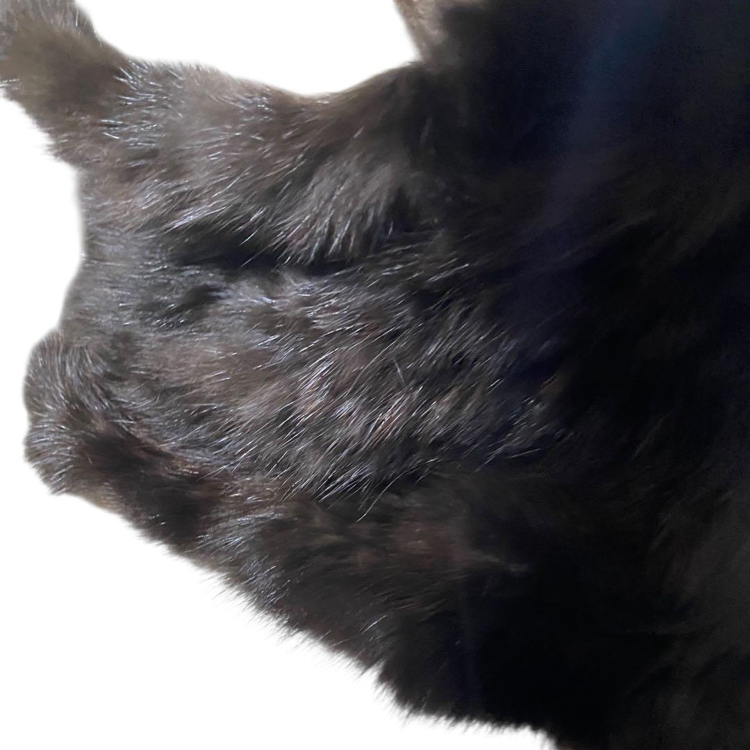 未使用　セーブル　スヌード　毛皮　襟周り　マフラー　ファー　＋おまけ2本