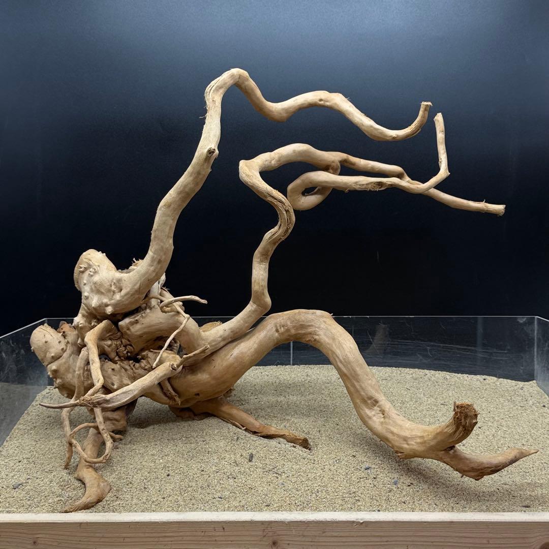 MDW-7000 特大ブランチウッド　流木　枝流木　アクアリウム