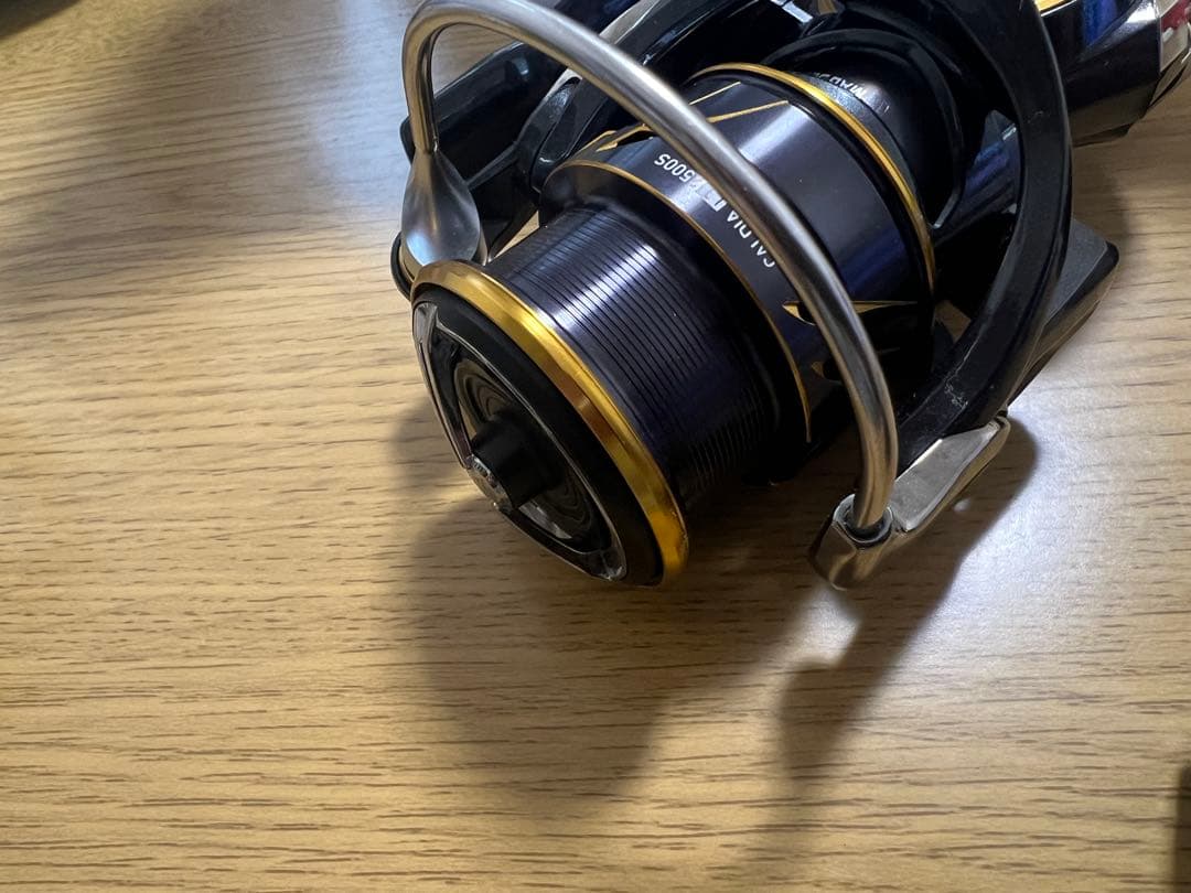 21 CALDIA LT2500S スピニングリール　DH仕様