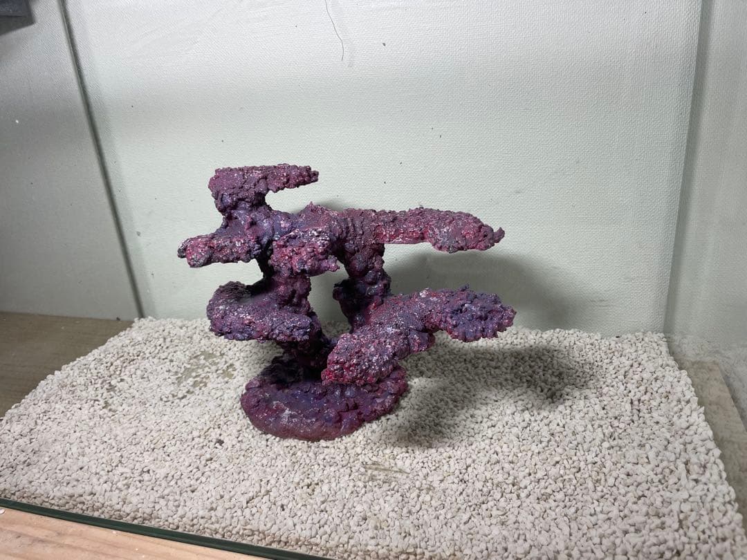 人工ライブロック　SHR31 アク抜き済み安心塗料使用