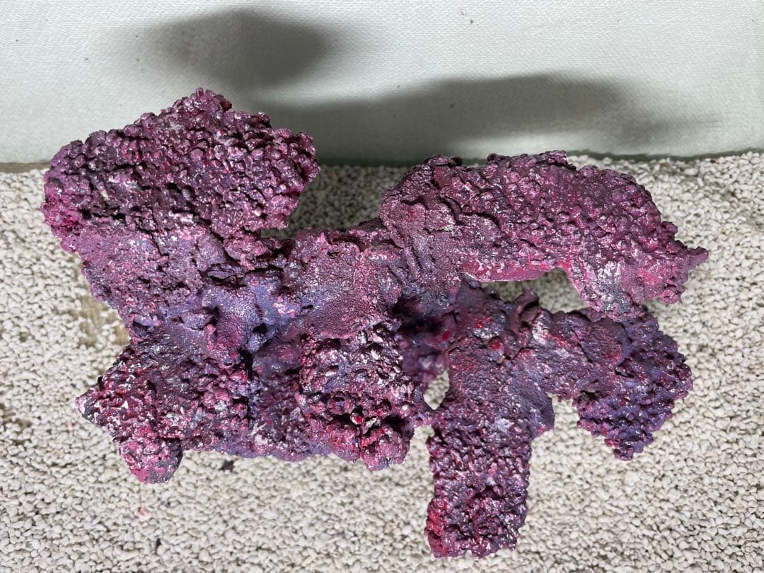 人工ライブロック　SHR31 アク抜き済み安心塗料使用