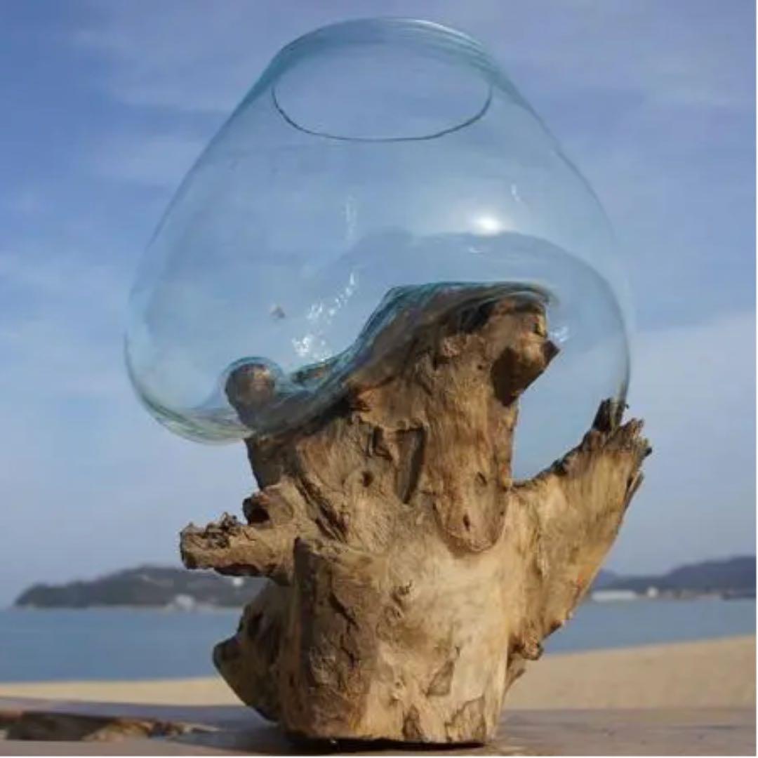 流木ガラス オブジェ超特大LH 花瓶 金魚鉢 ガーデニング テラリウム アート